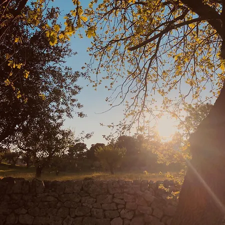 Masseria Fenicia