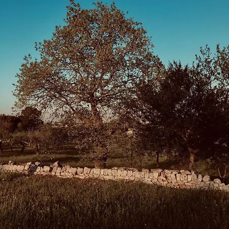 Masseria Fenicia Bed & Breakfast