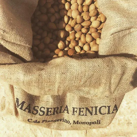 住宿加早餐酒店 Masseria Fenicia